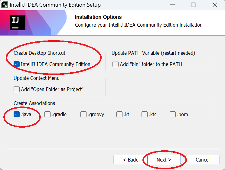 Choose installation options for IntelliJ IDEA