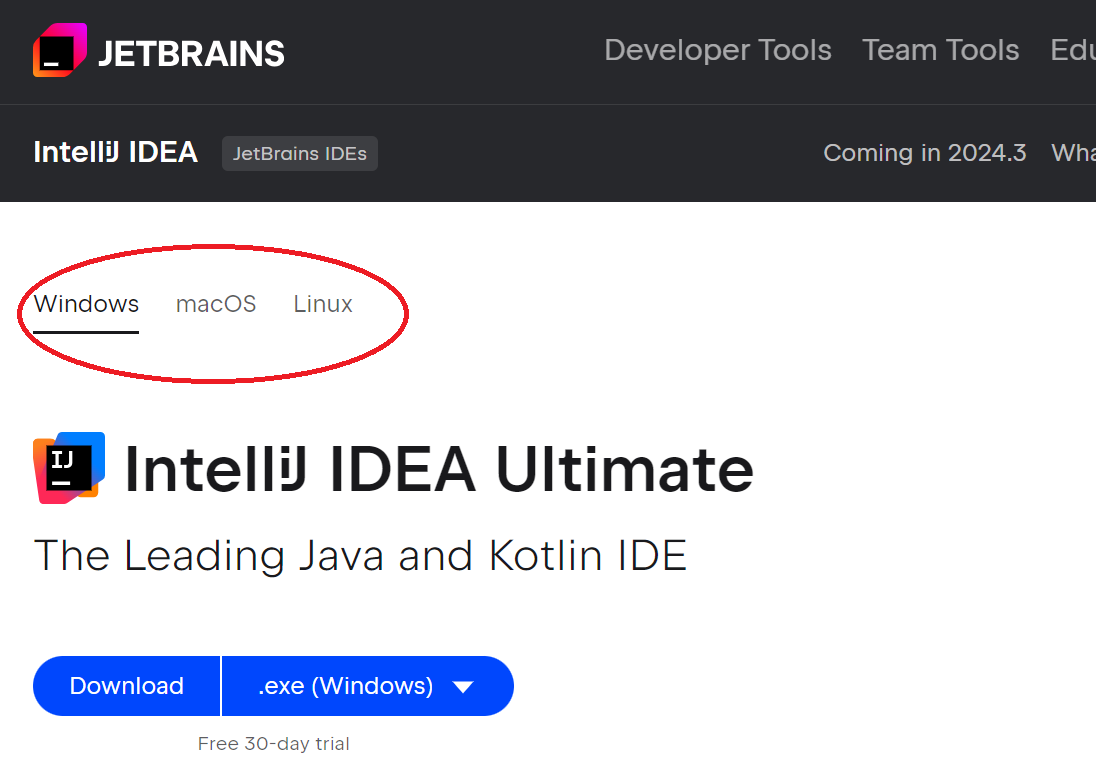 Choosing OS on IntelliJ IDEA download page