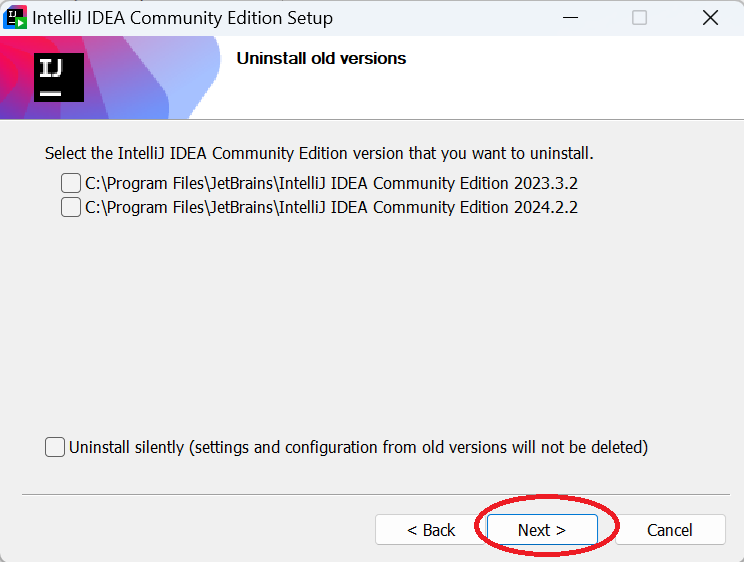 Remove old versions of IntelliJ IDEA