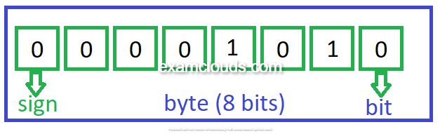 Byte representation in memory