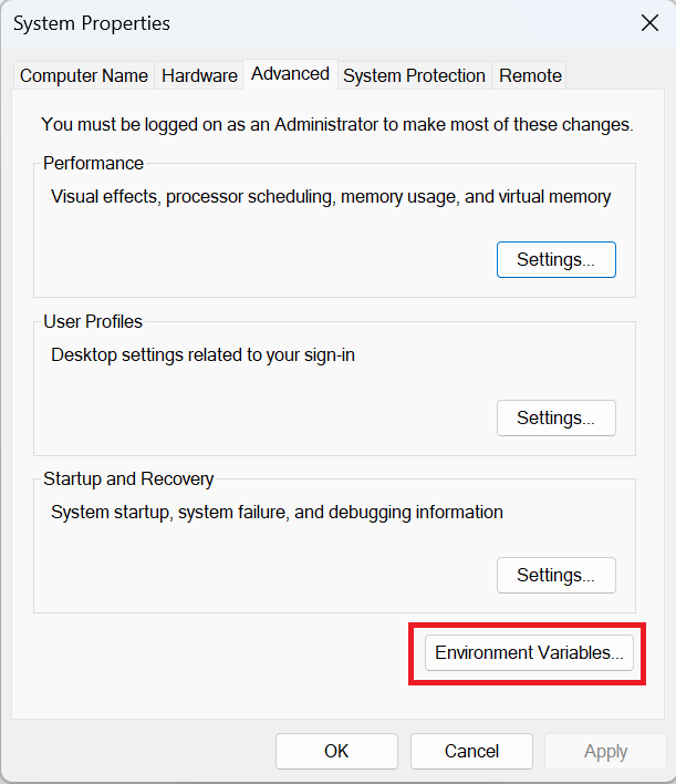 Environment Variables Section
